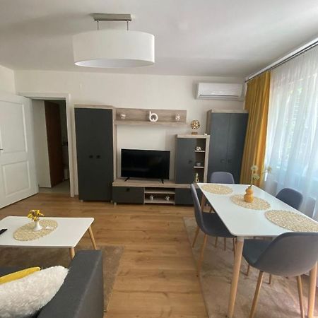 Apartamentul Gaviota Тімішоара Екстер'єр фото