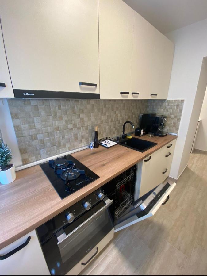 Apartamentul Gaviota Тімішоара Екстер'єр фото