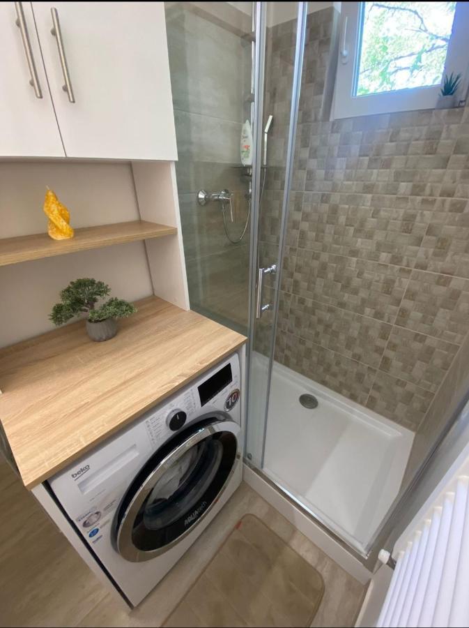 Apartamentul Gaviota Тімішоара Екстер'єр фото