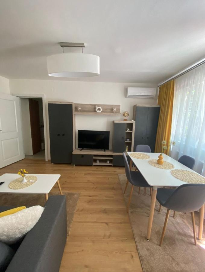 Apartamentul Gaviota Тімішоара Екстер'єр фото
