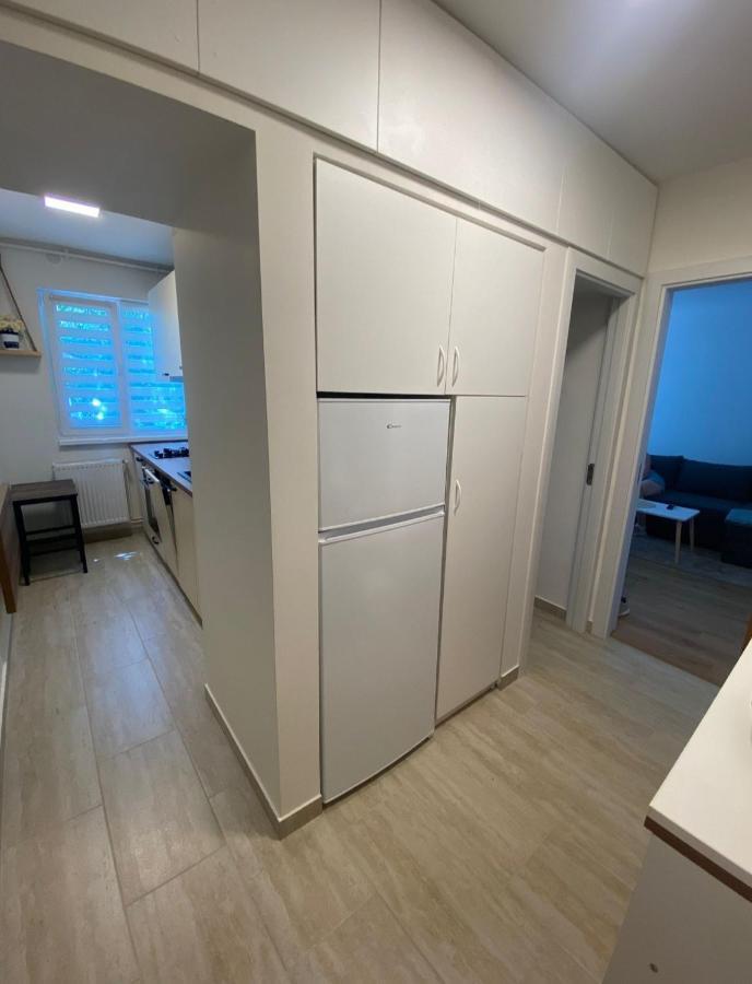 Apartamentul Gaviota Тімішоара Екстер'єр фото