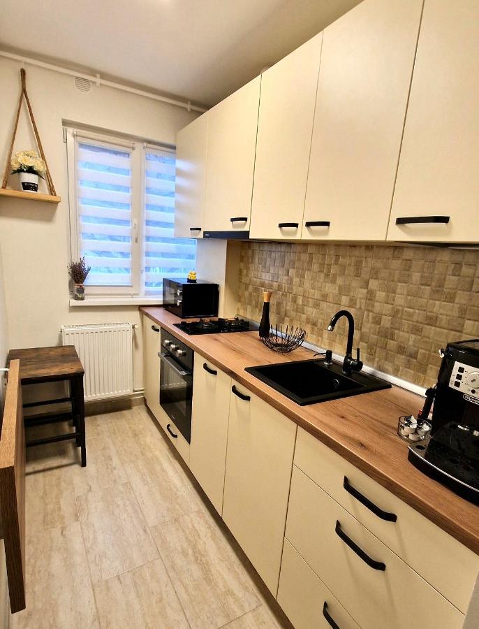 Apartamentul Gaviota Тімішоара Екстер'єр фото