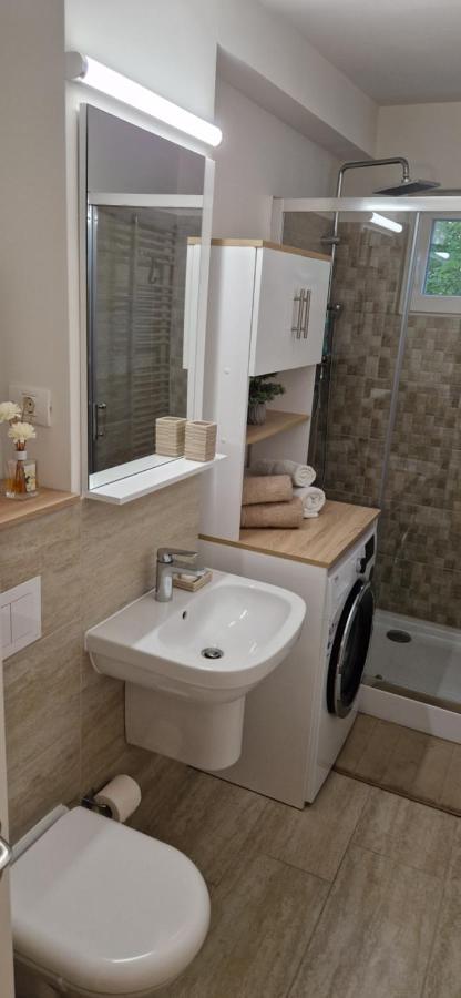Apartamentul Gaviota Тімішоара Екстер'єр фото